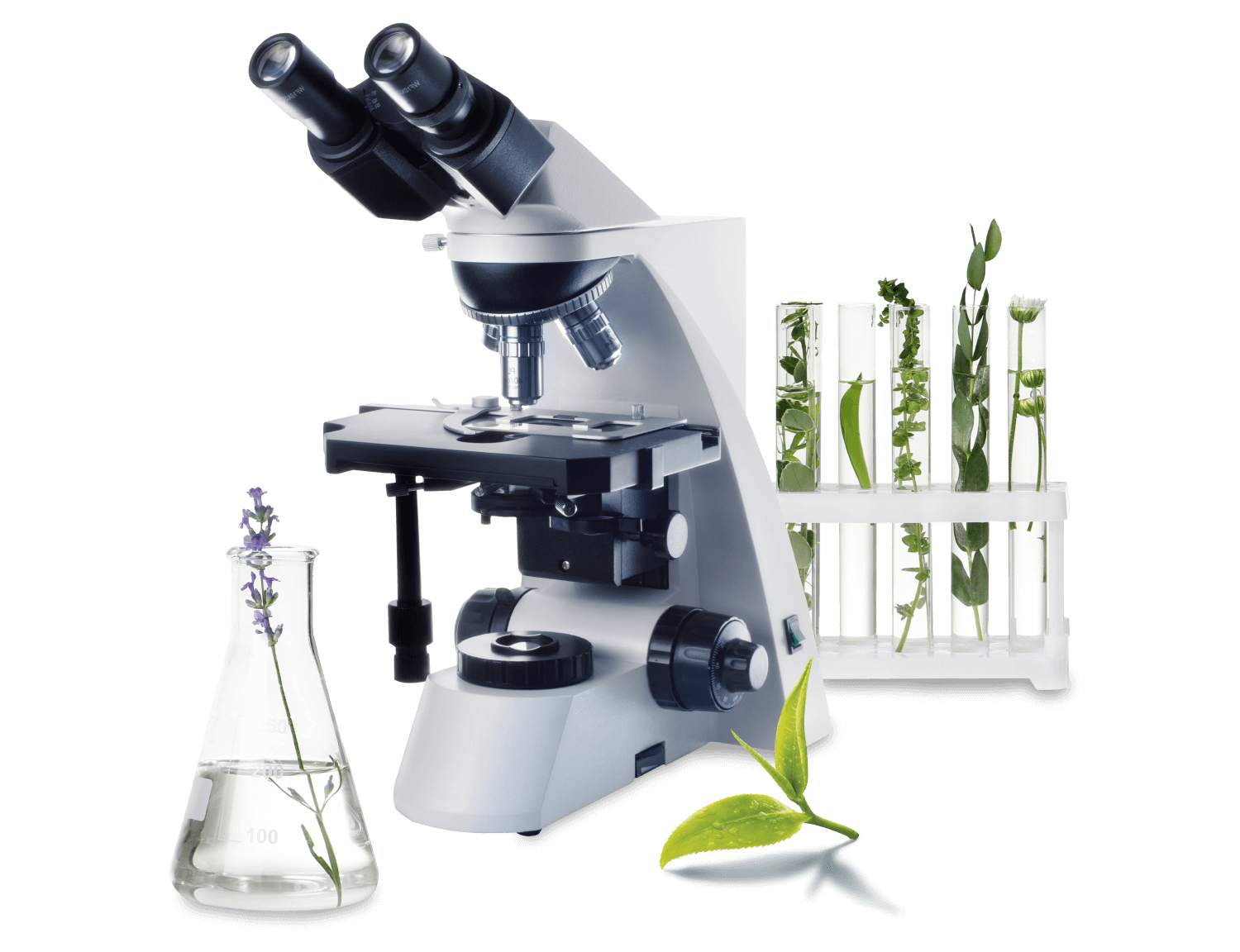 Подумайте о здоровье прямо сейчас!