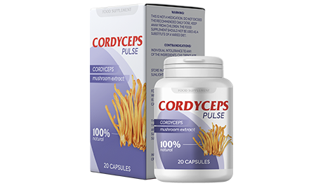 Cordyceps Pulse