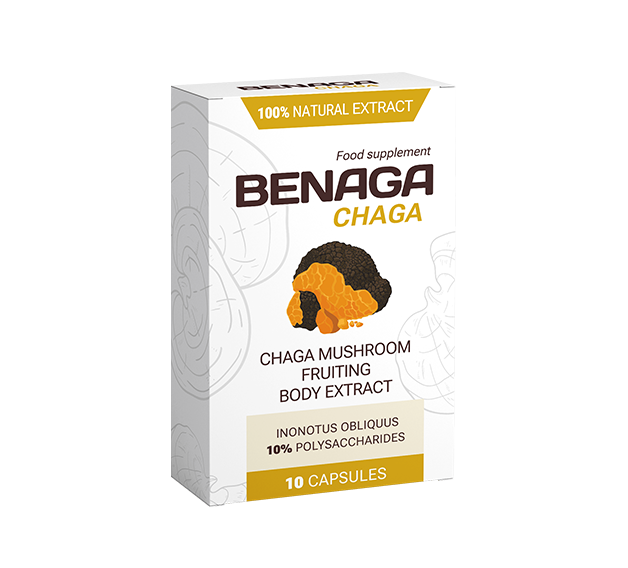 Benaga Chaga